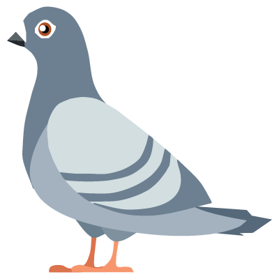 Pigeon Rid Logo